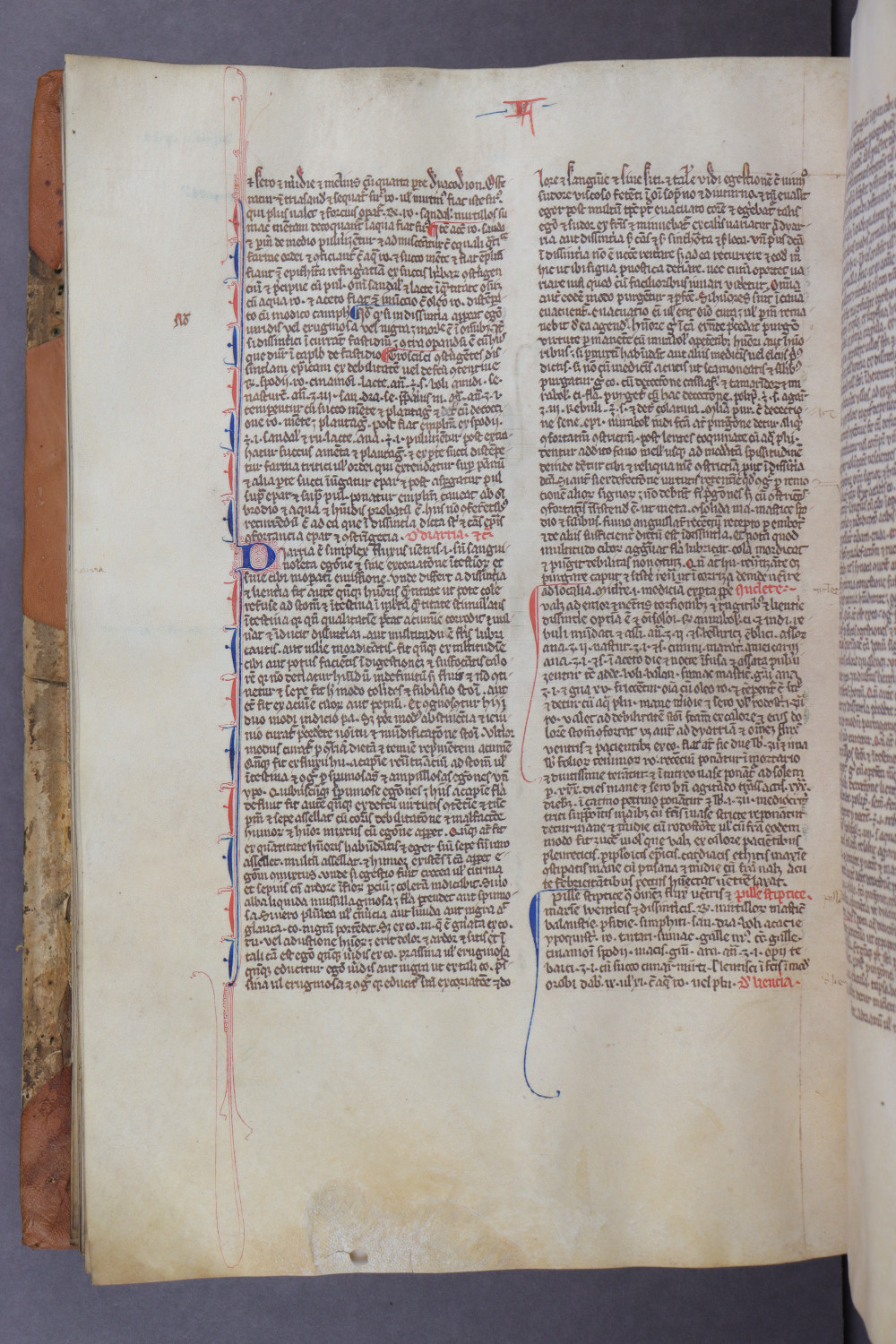 Folio 104 verso